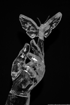 Féérie de Glace 06