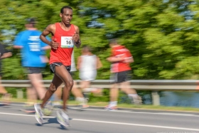 Route du Vin 2016 03