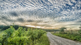 Exceptional sky