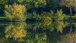 Reflections in the pond