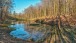 Weiher - Pond