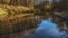 Weiher im Wald - Pond in forest