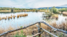 Blick auf die Weiher