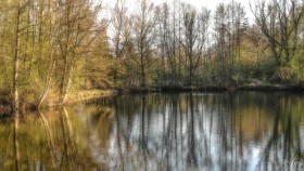 Einer von vielen Weiheren zwischen Nennig und Besch