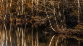Ruhe auf dem Weiher