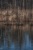 Die Ruhe am Weiher
