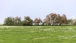 Frühlingslandschaft