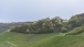 Weinberge im Frühling