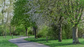 Frühling in Luxemburg