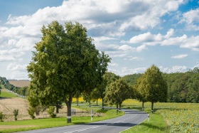 Landstrasse zwischen Bous und Oetringen