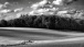 Felder und Wald