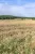 Landschaft bei Beyren in Luxemburg