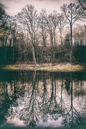 Beim kalten Weiher - At the cold Pond