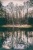 Beim kalten Weiher - At the cold Pond