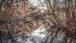 Versteckter Weiher