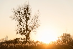 Winter Sunset Version 1