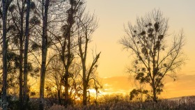 Winter Sunset Version 3