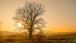 Sonnenuntergang im Dezember