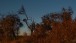 Goldene Stunde