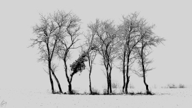 Winter 2021