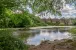 Hampstead Heath West Ponds