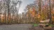 Rastplatz im Wald