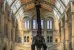 Im Natural History Museum in London