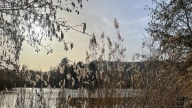 Später Februarnachmittag - Late February afternoon