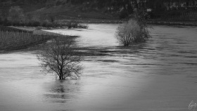Flooding on the Moselle River