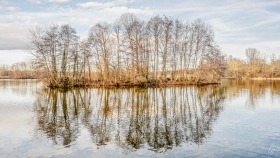 Spiegelung - Mirroring