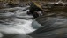 Flowing - Fliessend
