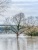 Hochwasser an der Mosel - Flood at the Moselle River