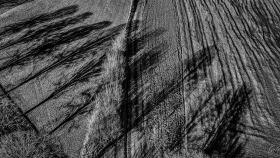 Shadows (2)