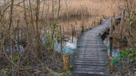 Spazierweg durch die Natur