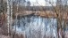 Wildnis