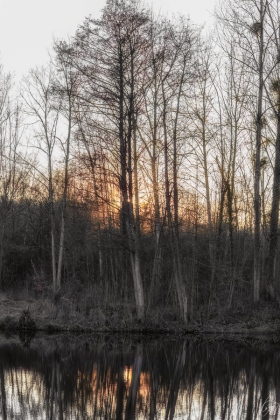 Natur im Februar