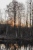 Natur im Februar