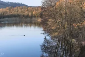 Weiher im Februar