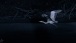 Ein Reiher fliegt in die Nacht