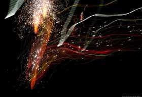 Fire 41