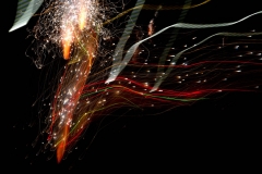 Fire 41