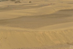 GCA08