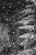 Jan 19 08