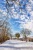 Sonniger Wintertag - Sunny winterday