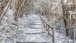 Verschneiter Pfad - Snowy path