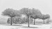 Schneeschauer - Snowshower (1)