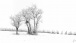 Winterlandschaft - Winterscape