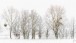 Ein Hauch von Farbe im Winter - A touch of color in winter