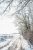 Schnee auf der Flur - Snow on the countryside