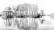 Insel im See
